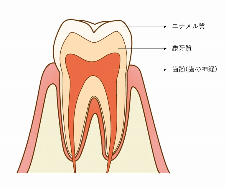 歯がすり減る